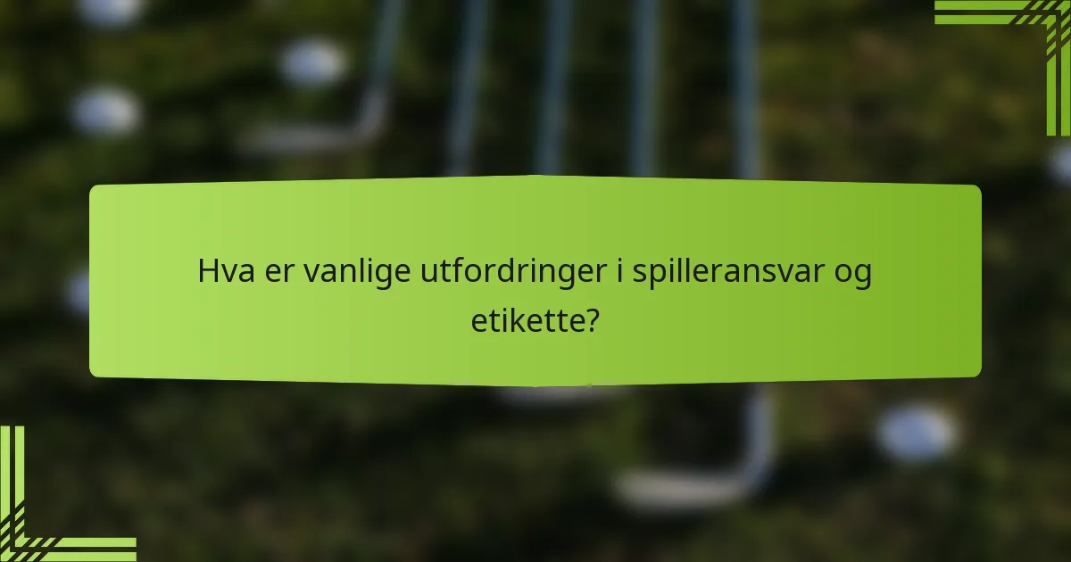 Hva er vanlige utfordringer i spilleransvar og etikette?